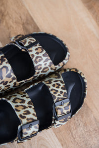 Leopard Waterslides