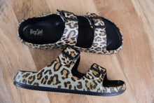 Load image into Gallery viewer, Leopard Waterslides