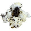 Cookies & Cream Gourmet Popcorn